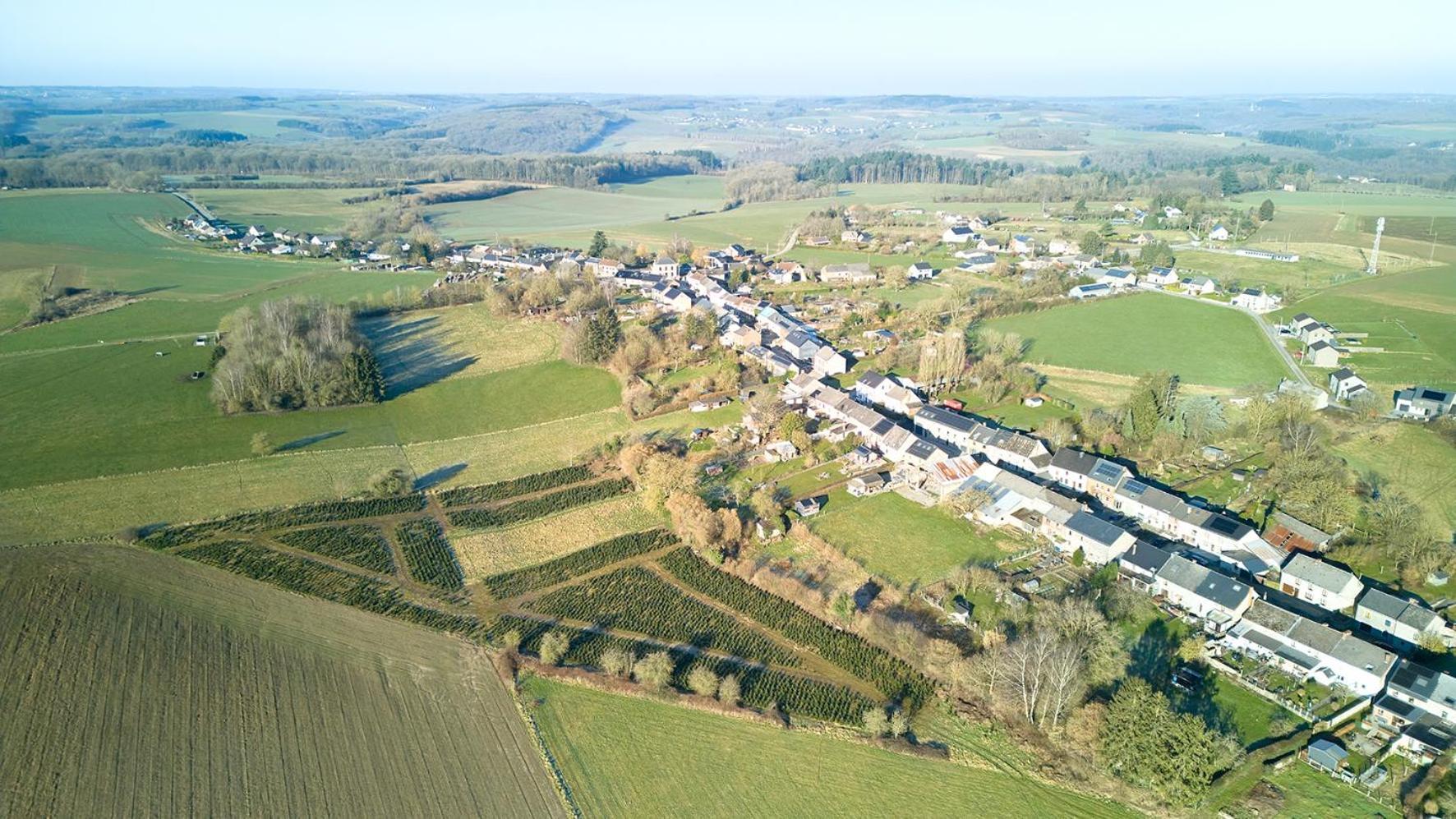 Villa Le Renard Qui Fume Onhaye Exterior foto
